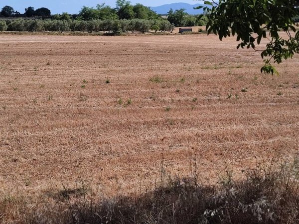 terreno agricolo in vendita a Sorano in zona Elmo