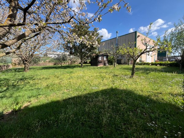 ufficio in vendita a Sorano in zona San Quirico