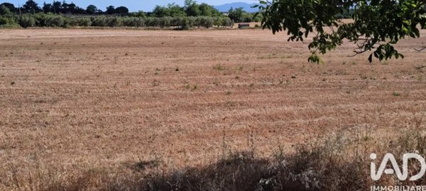 terreno agricolo in vendita a Sorano in zona Elmo