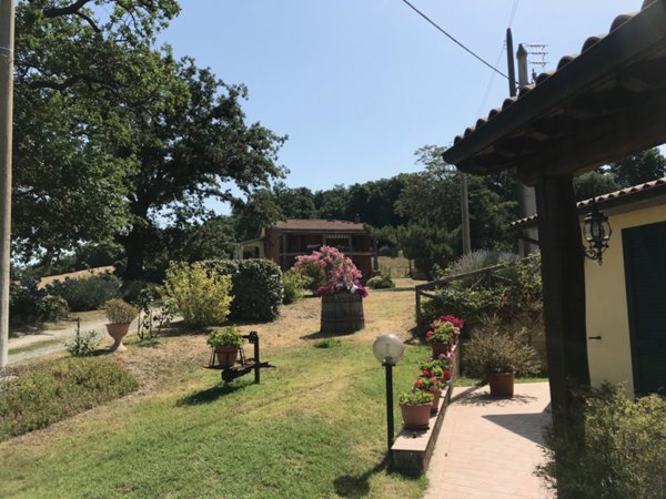 negozio in vendita a Sorano in zona Sovana