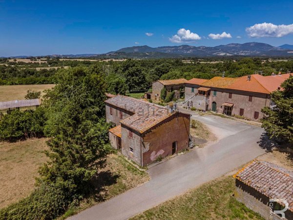 esavano in vendita a Sorano