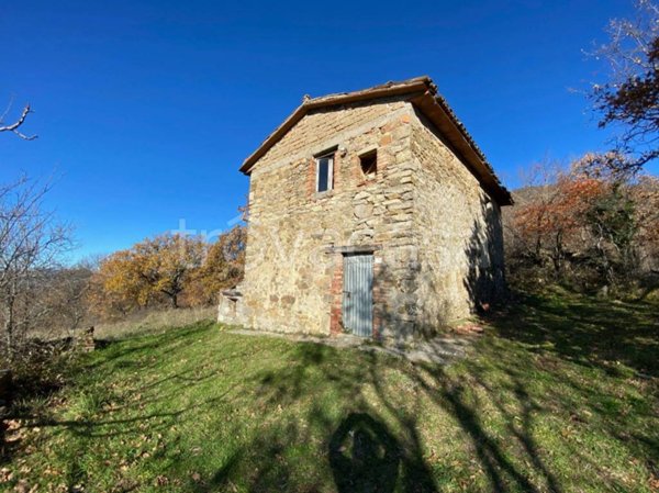 casa indipendente in vendita a Sorano