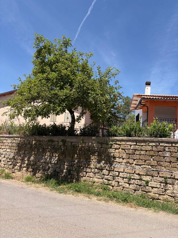 casa indipendente in vendita a Sorano