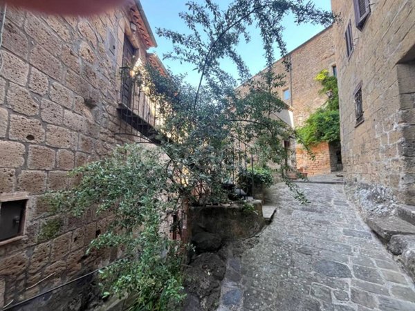 appartamento in vendita a Sorano in zona Sovana