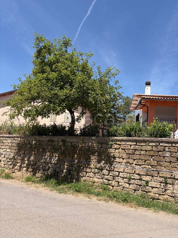 casa indipendente in vendita a Sorano
