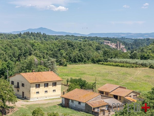 casale in vendita a Sorano