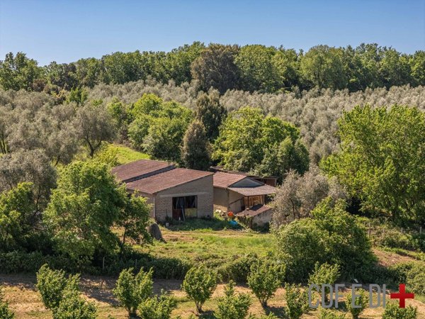 appartamento in vendita a Sorano in zona Sovana