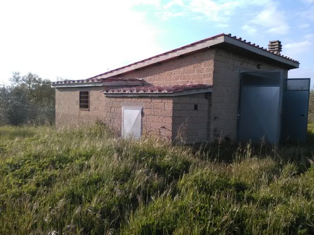 terreno agricolo in vendita a Sorano