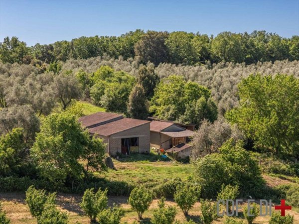 casa indipendente in vendita a Sorano in zona Sovana