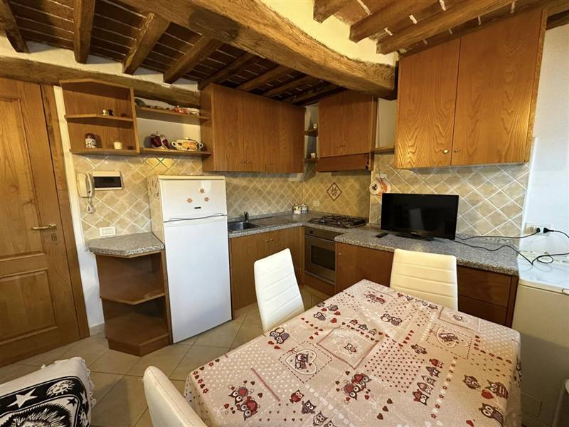 appartamento in vendita a Monterotondo Marittimo