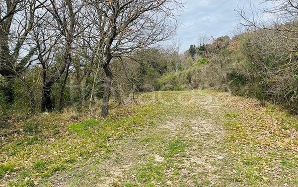 terreno agricolo in vendita a Monterotondo Marittimo