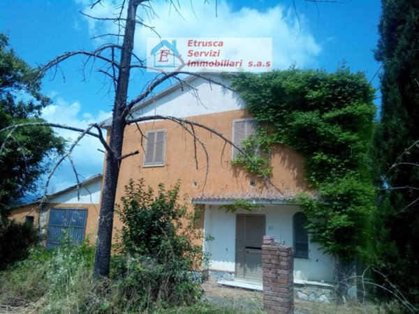 azienda agricola in vendita a Monterotondo Marittimo