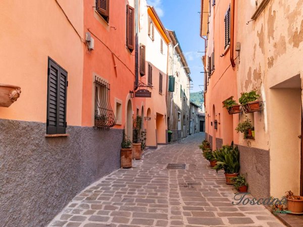 appartamento in vendita a Monterotondo Marittimo