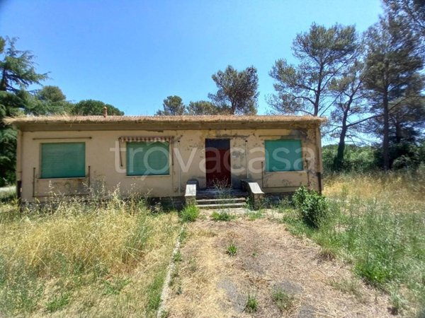 negozio in vendita a Monterotondo Marittimo in zona Lago Boracifero