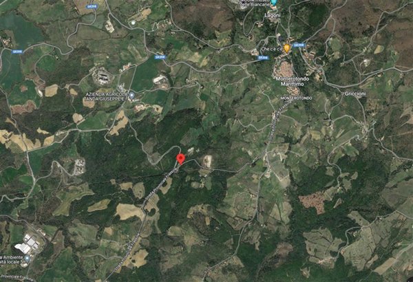 appartamento in vendita a Monterotondo Marittimo in zona Frassine