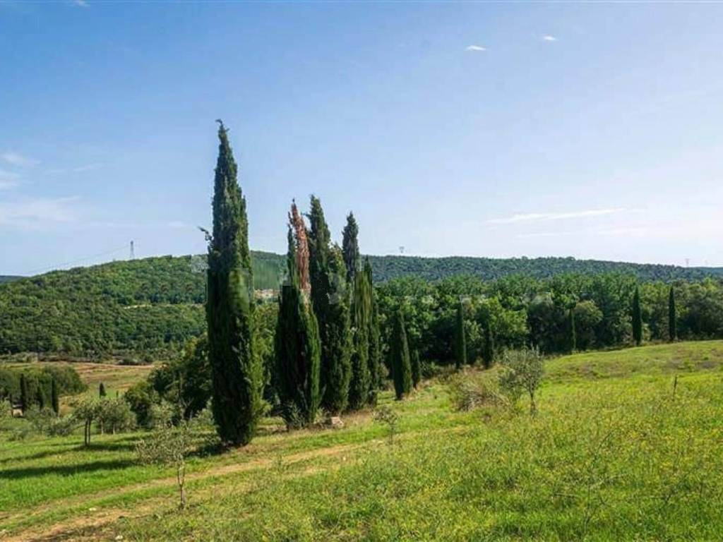 casa indipendente in vendita a Monterotondo Marittimo