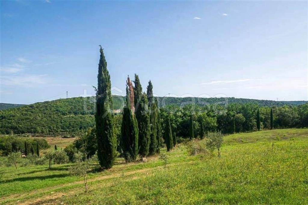 casa indipendente in vendita a Monterotondo Marittimo