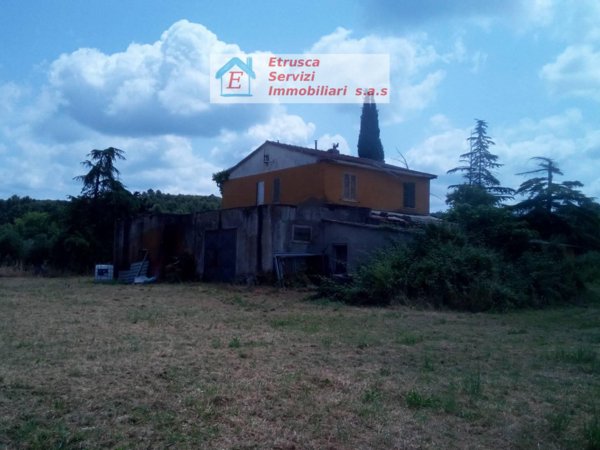 azienda agricola in vendita a Monterotondo Marittimo