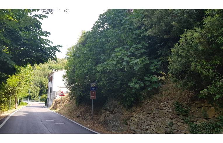 terreno edificabile in vendita a Monterotondo Marittimo