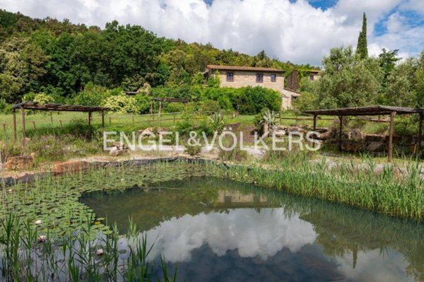 casa indipendente in vendita a Monterotondo Marittimo