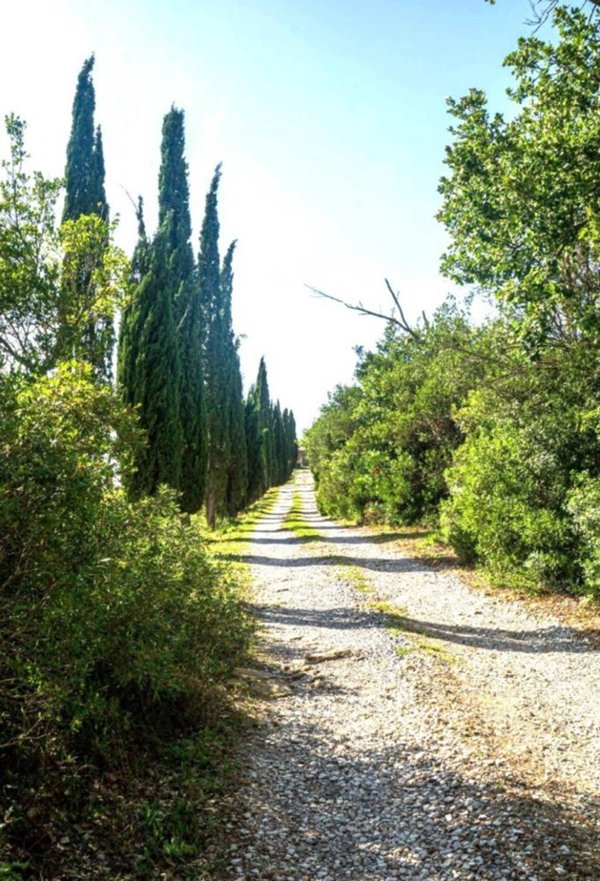 casa indipendente in vendita a Monterotondo Marittimo