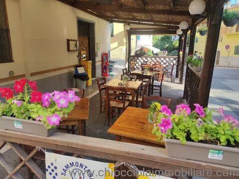 negozio in vendita a Monterotondo Marittimo