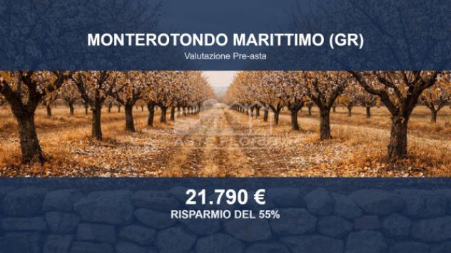 locale di sgombero in vendita a Monterotondo Marittimo in zona Frassine