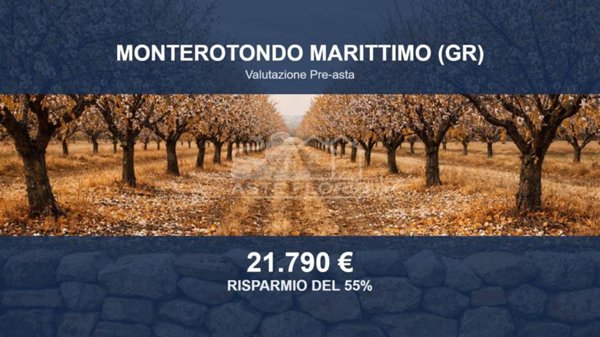 locale di sgombero in vendita a Monterotondo Marittimo in zona Frassine