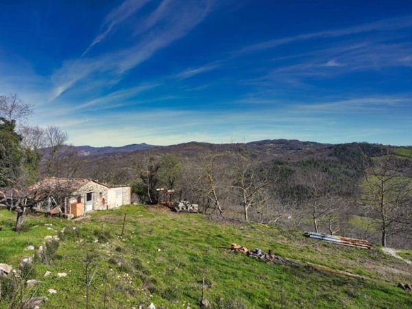 casa indipendente in vendita a Semproniano