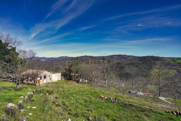 appartamento in vendita a Semproniano