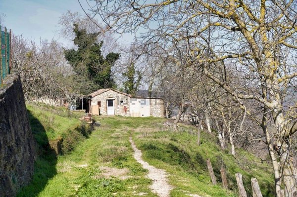 appartamento in vendita a Semproniano