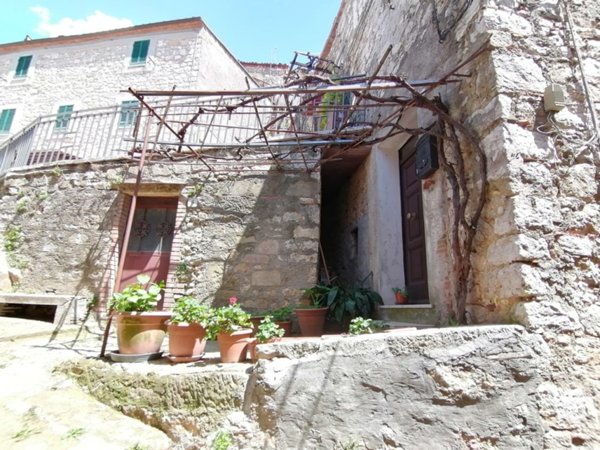 appartamento in vendita a Semproniano