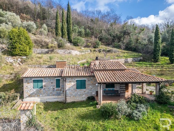 appartamento in vendita a Semproniano