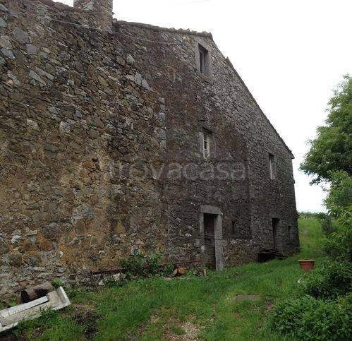 casa indipendente in vendita a Semproniano in zona Petricci