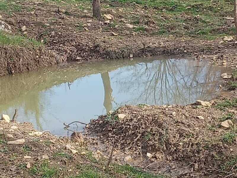 terreno agricolo in vendita a Semproniano