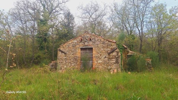 casa indipendente in vendita a Semproniano