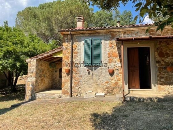appartamento in vendita a Semproniano
