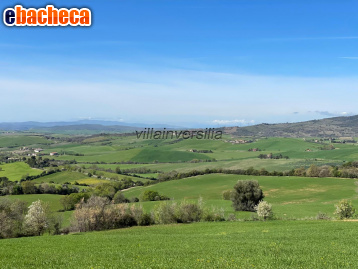 appartamento in vendita a Semproniano