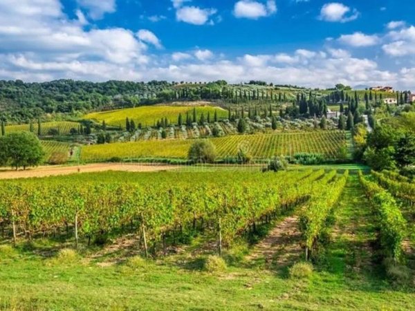 negozio in vendita a Semproniano
