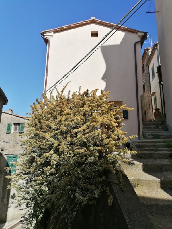 appartamento in vendita a Semproniano
