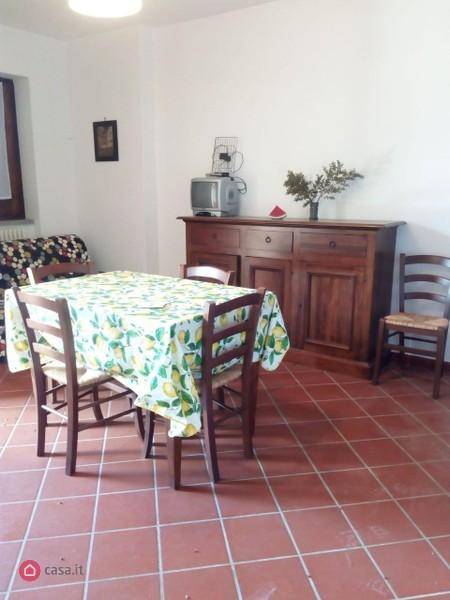appartamento in vendita a Semproniano