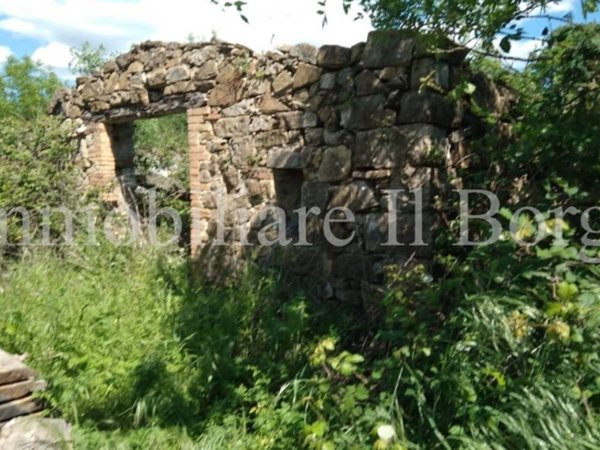 terreno agricolo in vendita a Semproniano