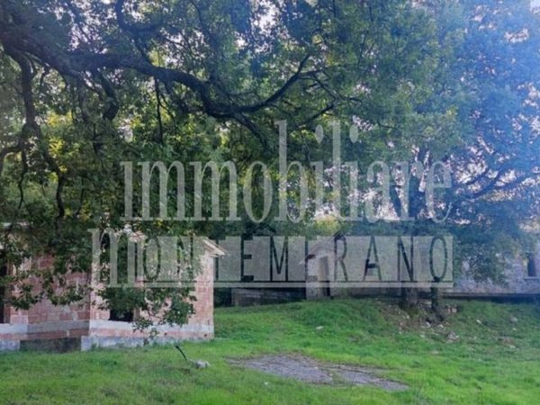 casa indipendente in vendita a Semproniano