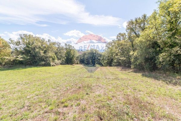 terreno agricolo in vendita a Semproniano in zona Catabbio