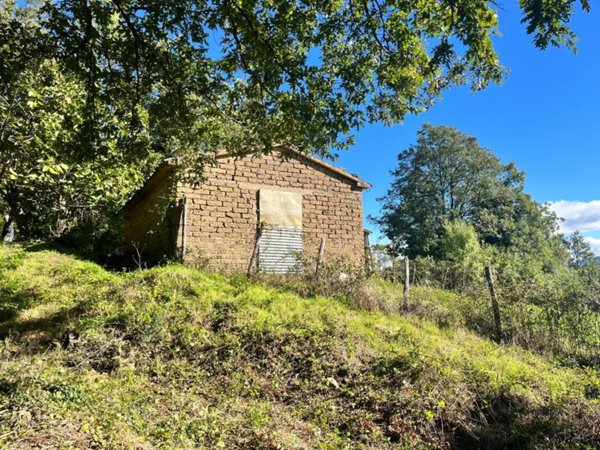 casa indipendente in vendita a Semproniano in zona Petricci