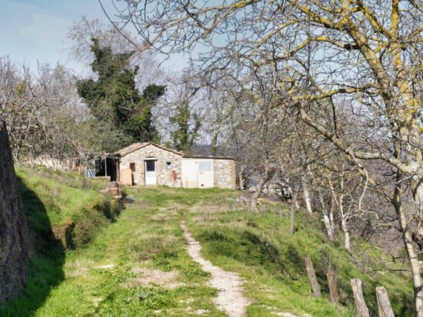 casa indipendente in vendita a Semproniano