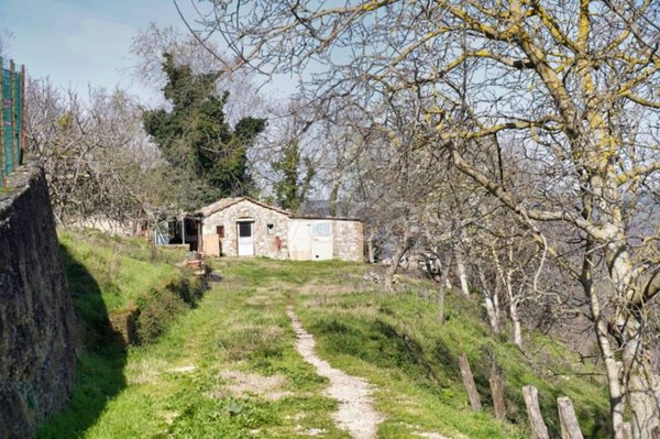 casa indipendente in vendita a Semproniano