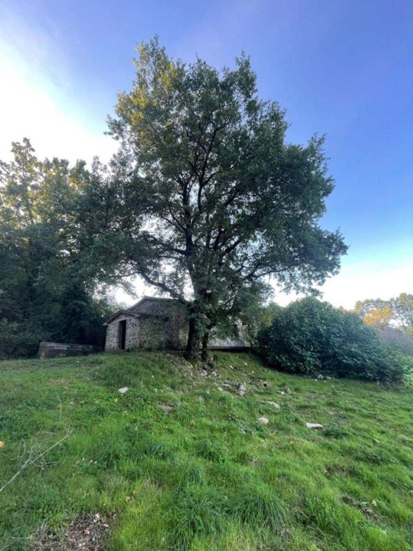 pentavano in vendita a Semproniano