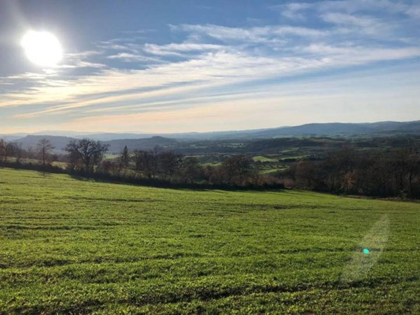 casa indipendente in vendita a Semproniano