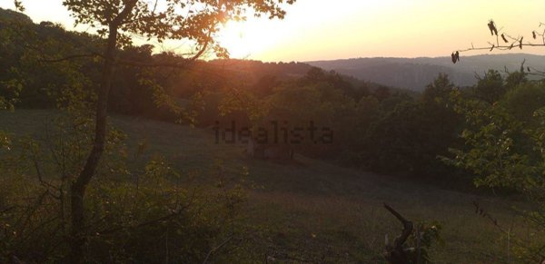 locale di sgombero in vendita a Semproniano